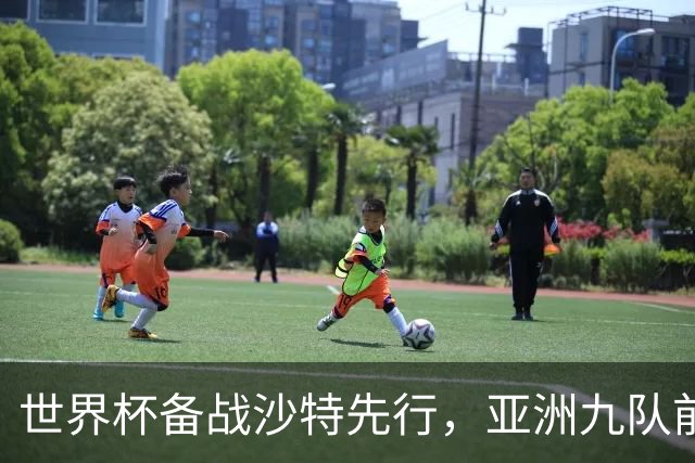 世界杯备战沙特先行，亚洲九队前景如何？日本队能否突破十六强？