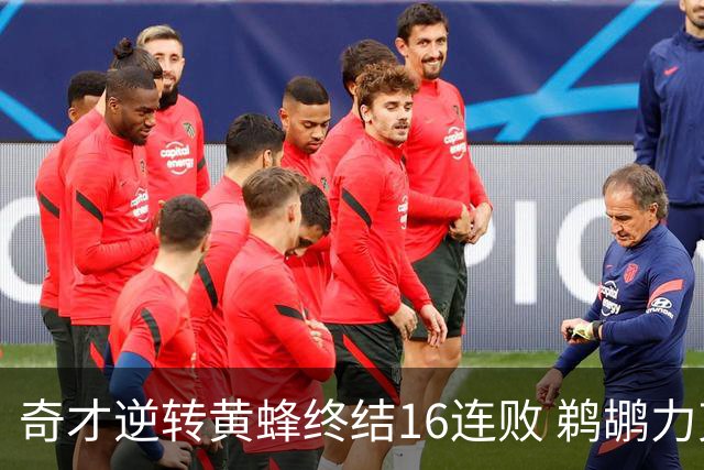 奇才逆转黄蜂终结16连败 鹈鹕力克76人3连胜
