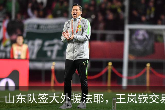 山东队签大外援法耶，王岚嵚交易困难，林庭谦回台湾省联赛