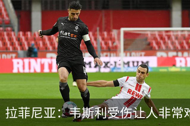 拉菲尼亚：韦斯利受伤让人非常难过，但他还年轻未来还有很多机会