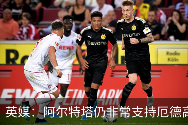 英媒：阿尔特塔仍非常支持厄德高，后者对道曼的成长也大有裨益